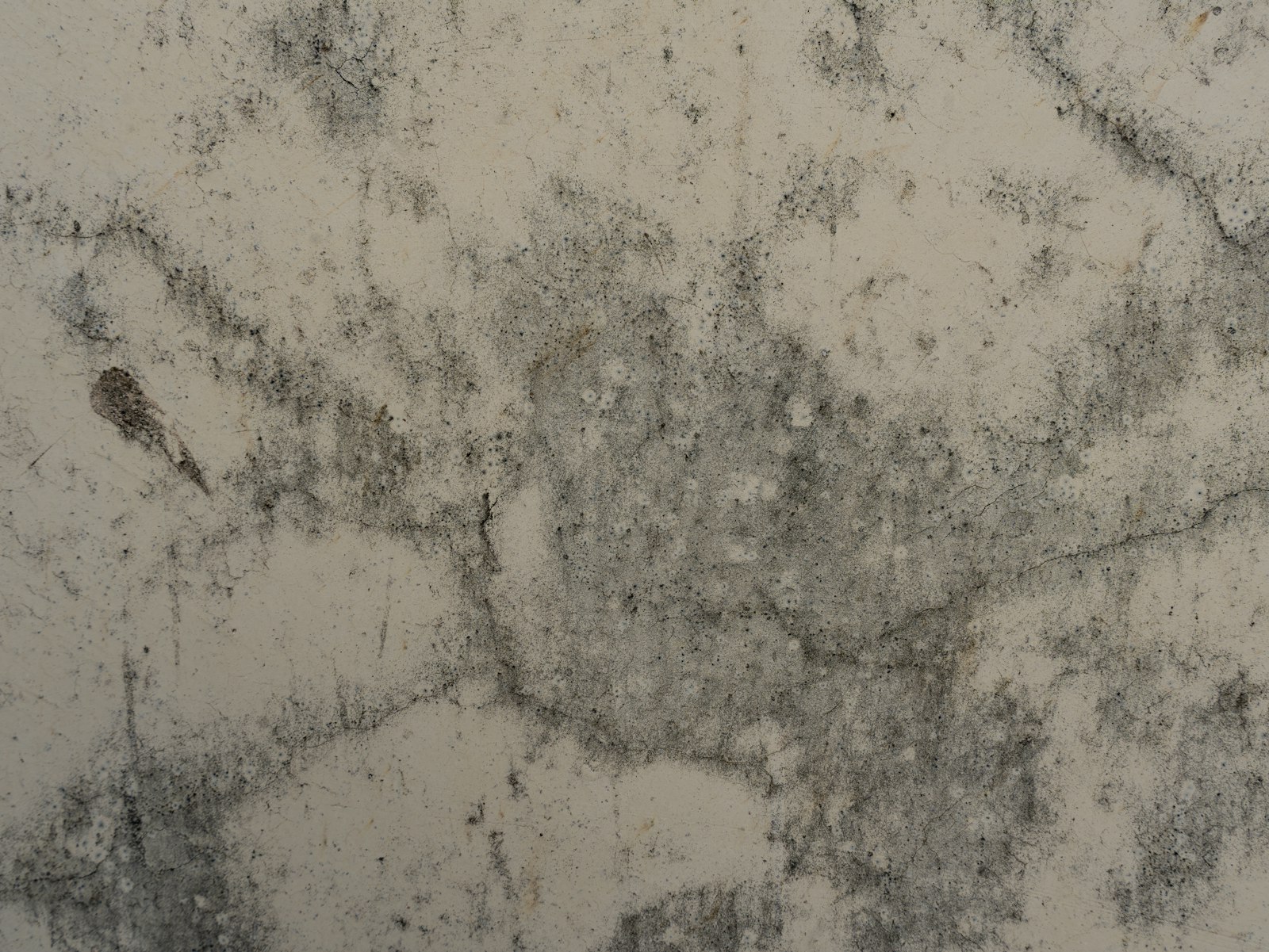 Damp staining and mould on an interior wall